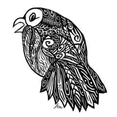 20230617B0-vA.jpg