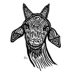 20230625B0-vA.jpg