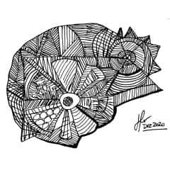 20210109A0