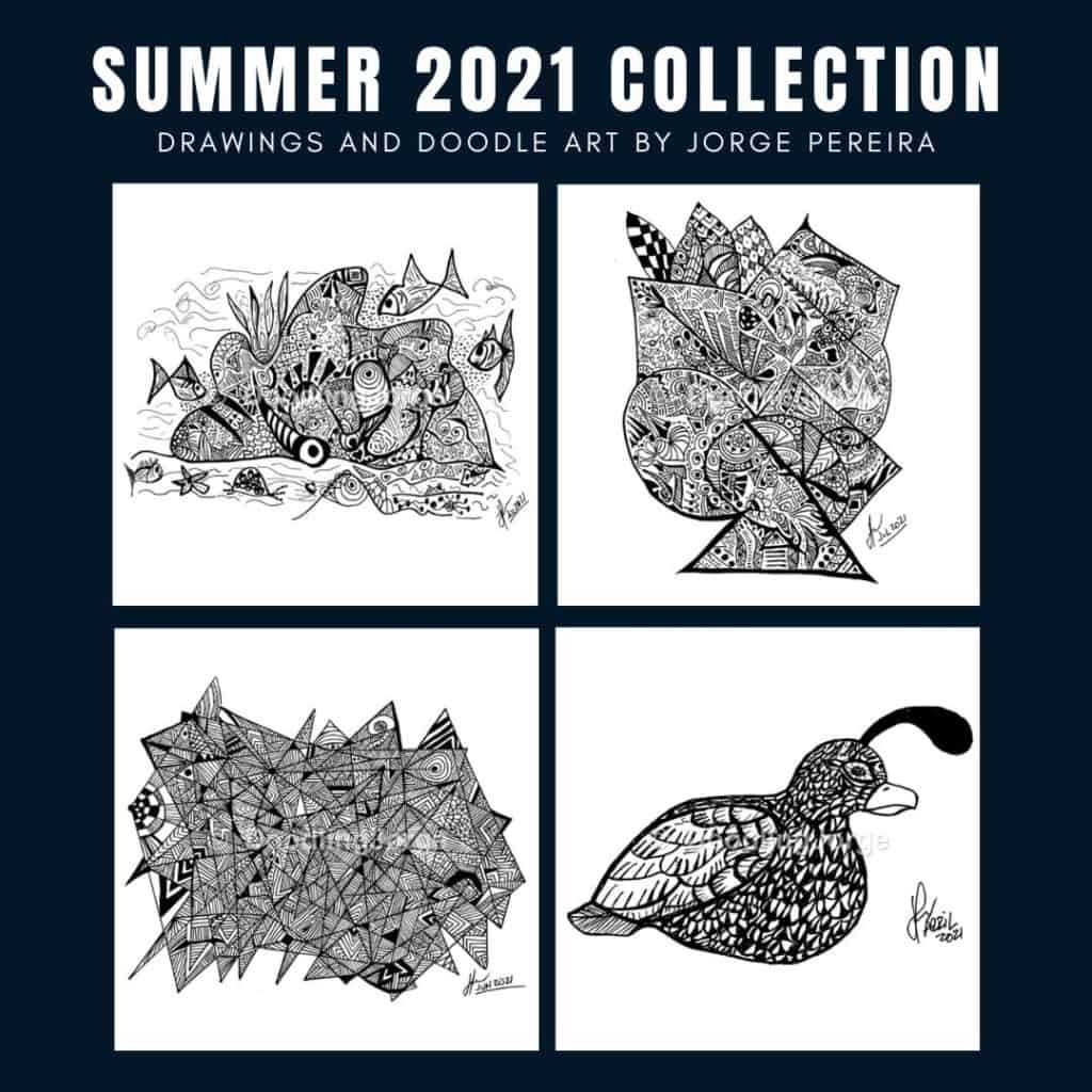 Summer 2021 Collection