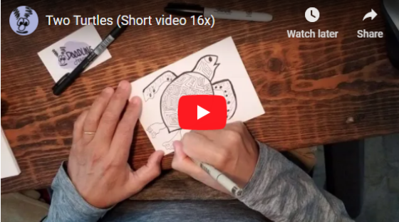 Video: Two Turtles Short Video (16x)