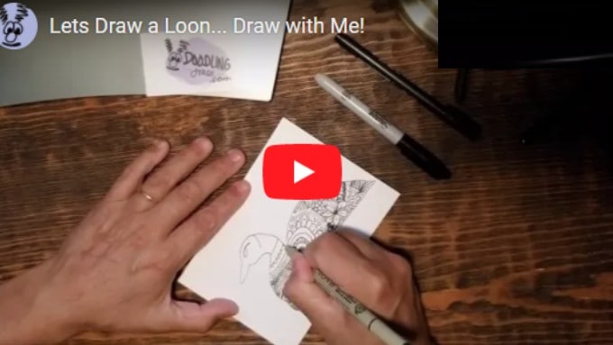 Video: Lets Draw a Loon